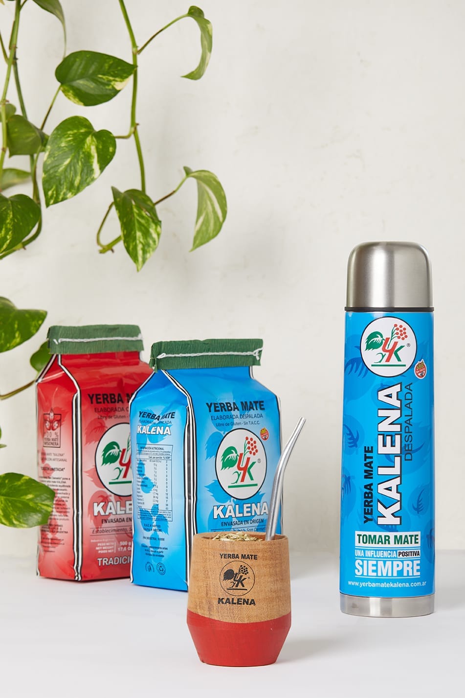 Yerba Mate Kalena Artículo: Yerba mate tradicional vs despalada: ¿cuál es la diferencia y cuál es para vos?